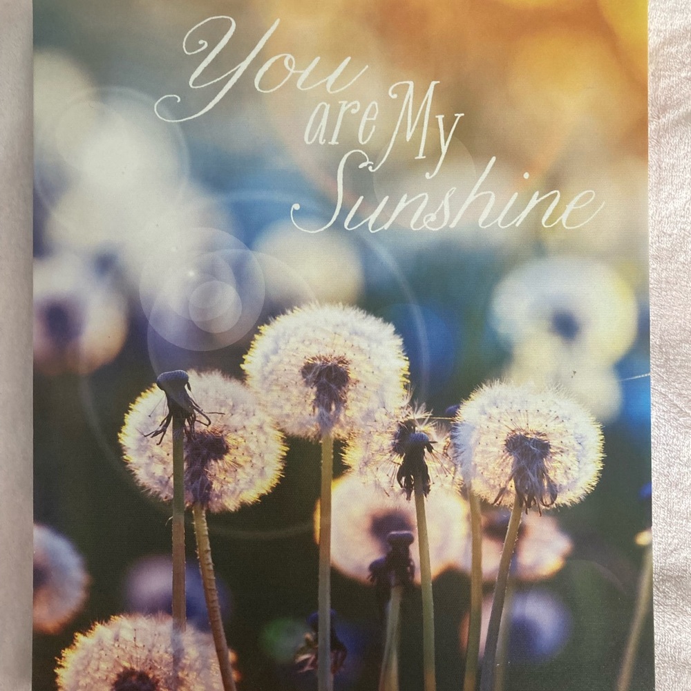 “You Are My Sunshine” Canvas Print